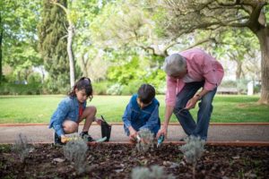 planting